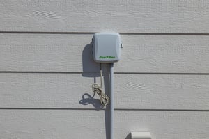 31541853