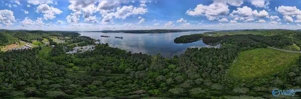 31542068
