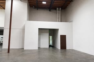 31542494