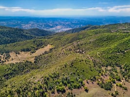 31545472