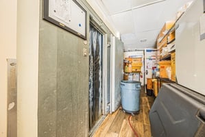 31546981