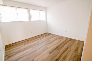 31547204