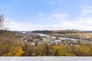 31553646