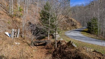 31548768