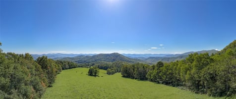 31548845