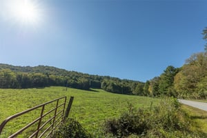 31548813