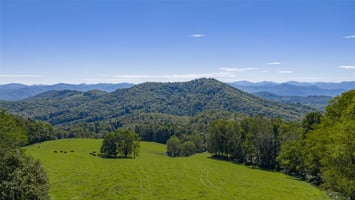 31548819