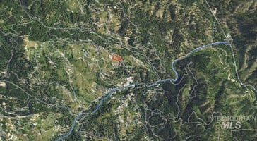 31549534