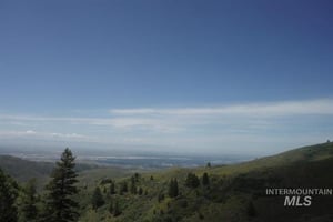 31549441