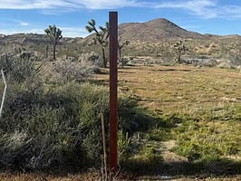31550573