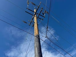 31550571