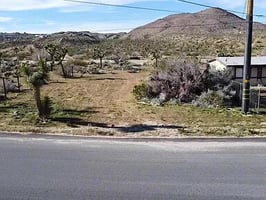 31550592
