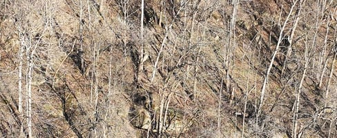 34075291