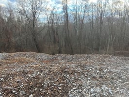 31551132