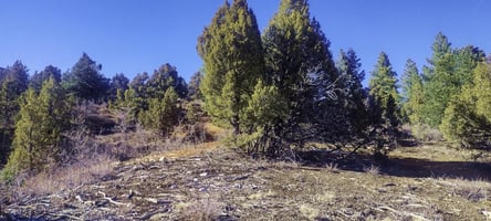 31553051