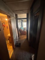 31554117