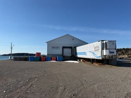 31554885