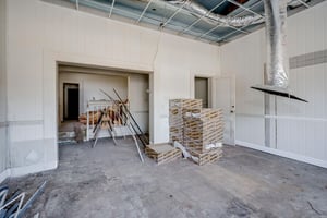 31555005
