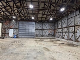 31556505