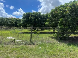 31555682