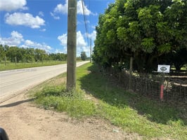 31555686
