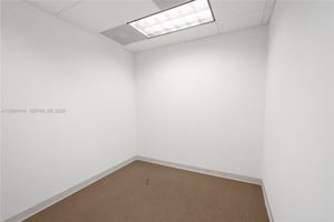 31555852