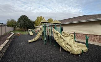 31557055