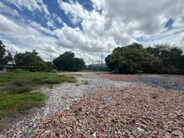 31559234