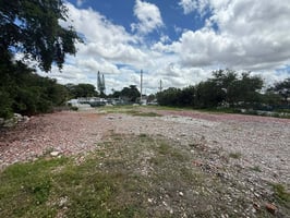31559233