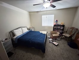 31559419