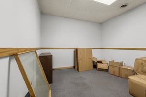 31560556