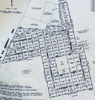 31560291