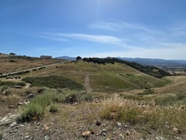31803261