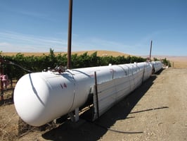 31561389