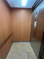 31562186