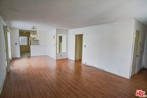 31562124