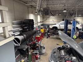31563009