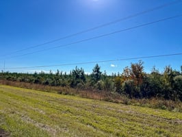 31567252