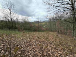 31567426
