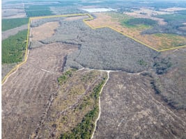 31568187