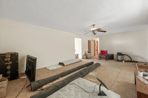 31568387