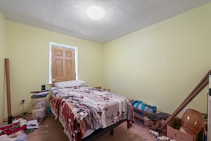 31568393