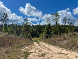 31568421