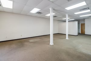 31569877