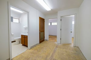 32645572