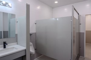 32667481