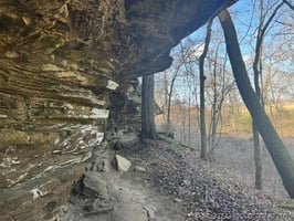 31570667