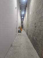 31577646
