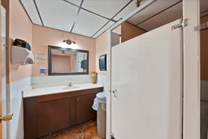 31581021