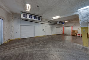 31583006